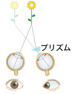プリズム あり