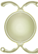 Finevision Toric